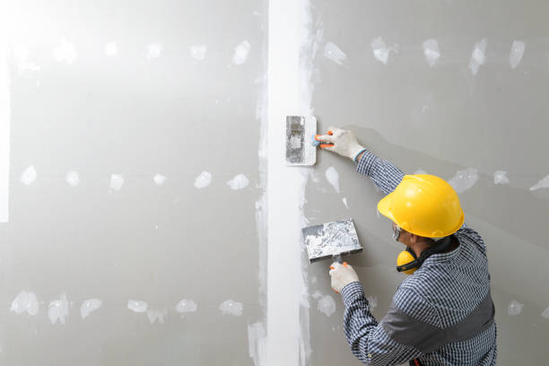 Best Fire-Damaged Drywall Repair  in Ciborne, LA